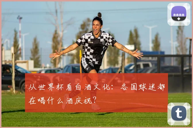 从世界杯看白酒文化：各国球迷都在喝什么酒庆祝？