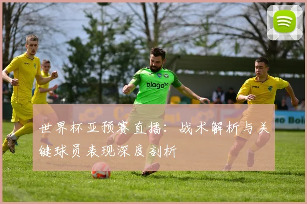 世界杯亚预赛直播：战术解析与关键球员表现深度剖析