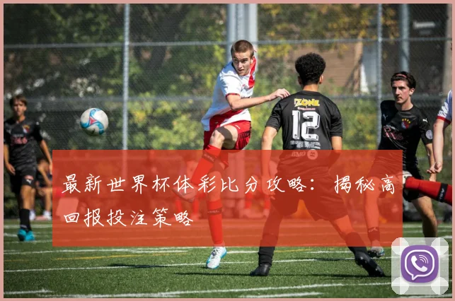 最新世界杯体彩比分攻略：揭秘高回报投注策略