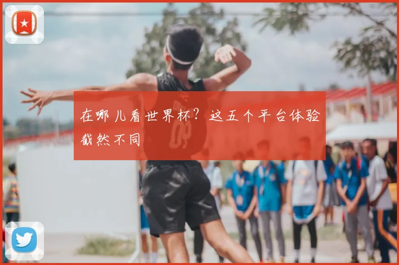 在哪儿看世界杯？这五个平台体验截然不同