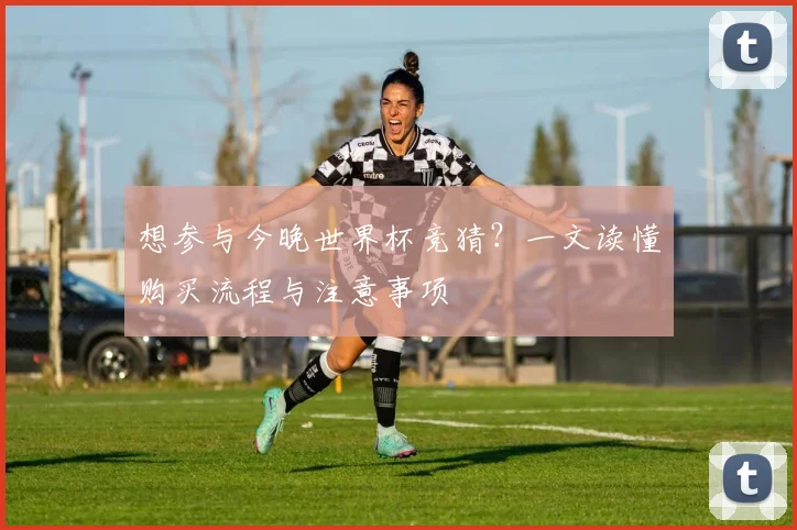 想参与今晚世界杯竞猜?一文读懂购买流程与注意事项