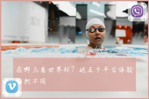 在哪儿看世界杯？这五个平台体验截然不同