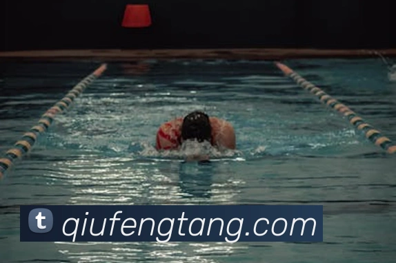 欧宝网平台生态图